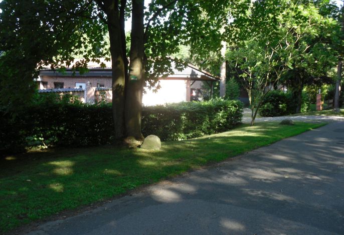 Bild 19
