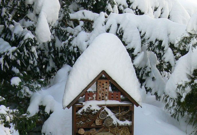 Bild 13