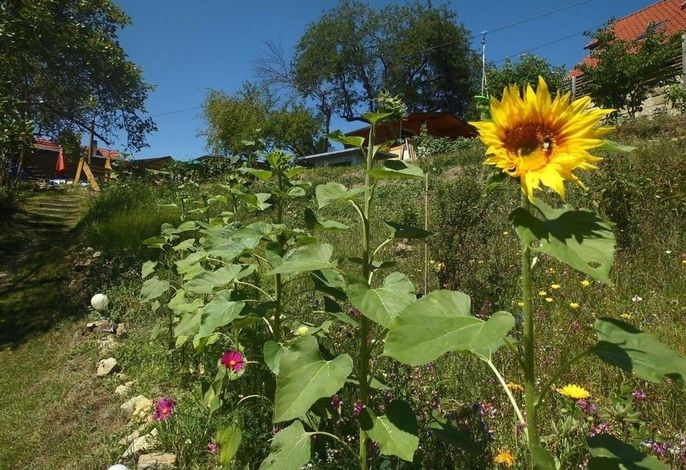 Bild 18