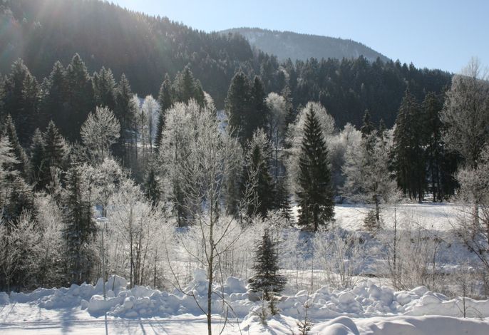 Bild 13
