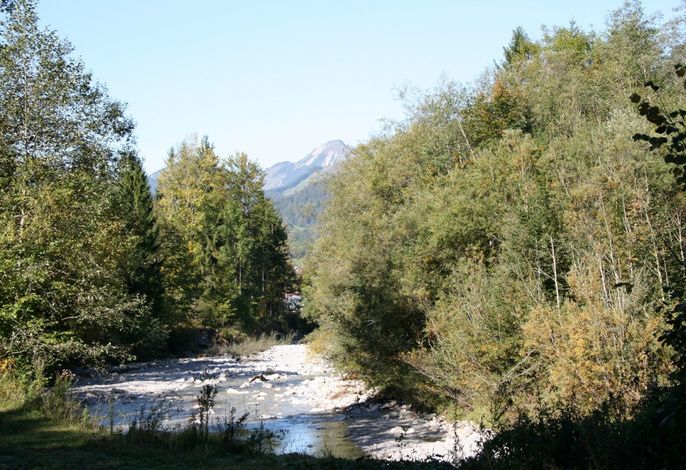 Bild 19