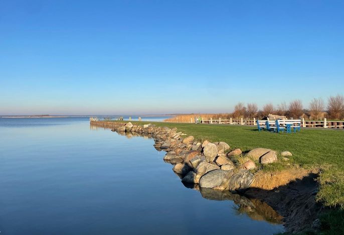Ferienhaus am Saaler Bodden Bild 4