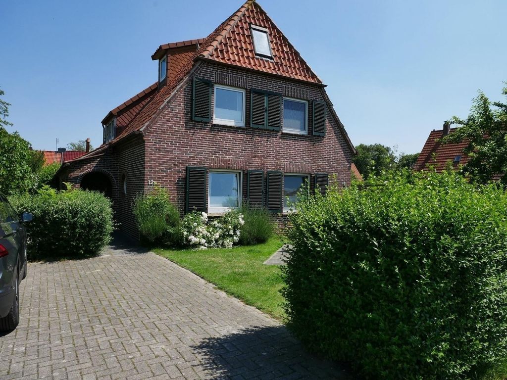 Apart Lachmöwe im Möwennest Tossens