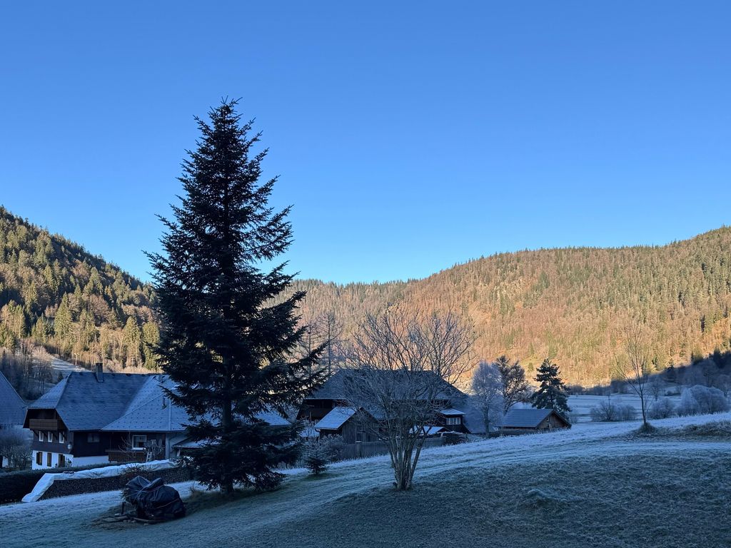 Schwarzwaldhaus - Fewo Fichte, St. Blasien - Menzenschwand
