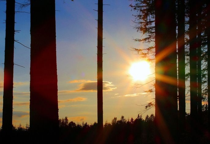 Bild 22