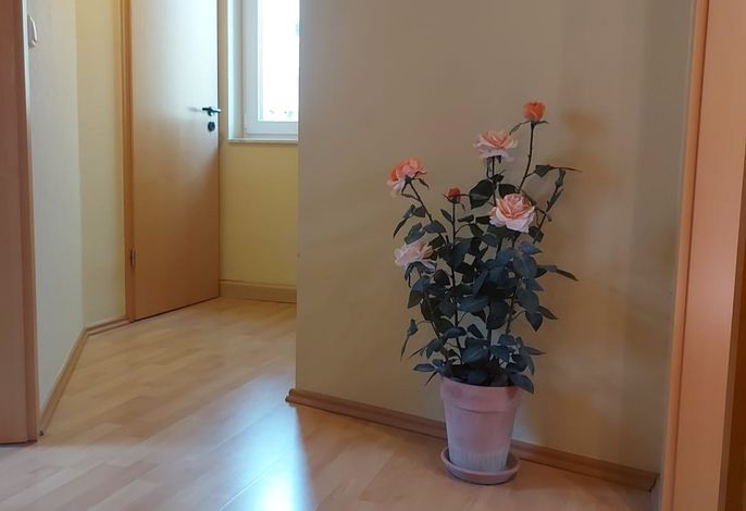Bild 17