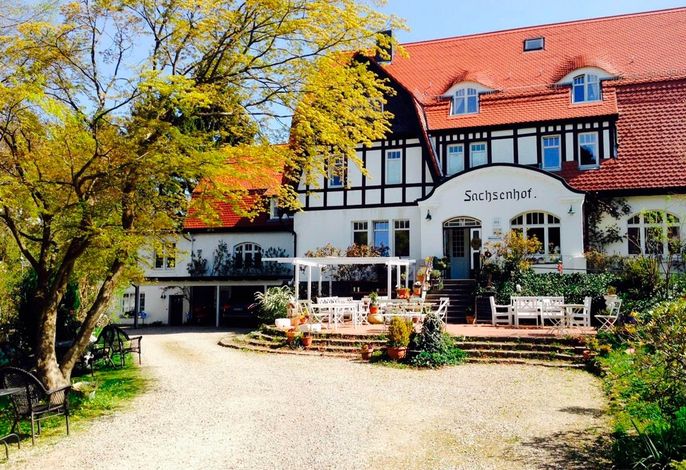 Bild 19