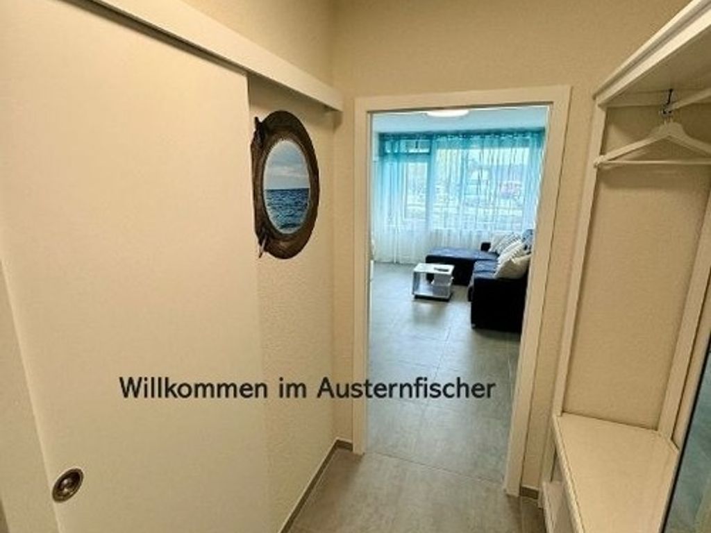 Austernfischer