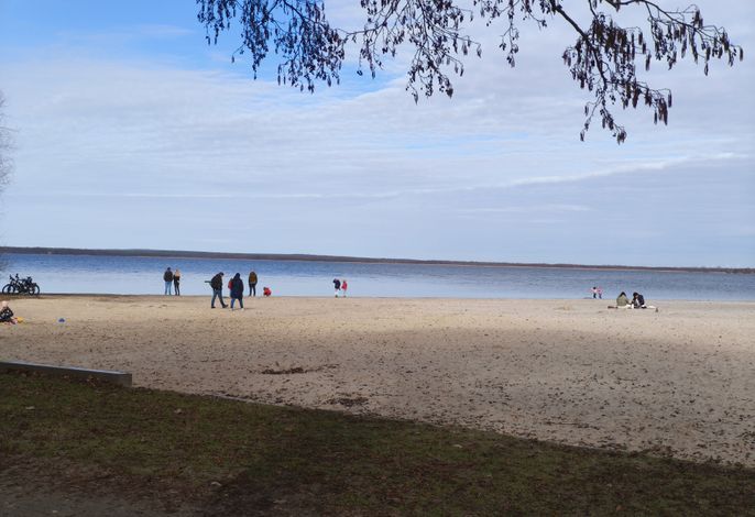 Bild 19