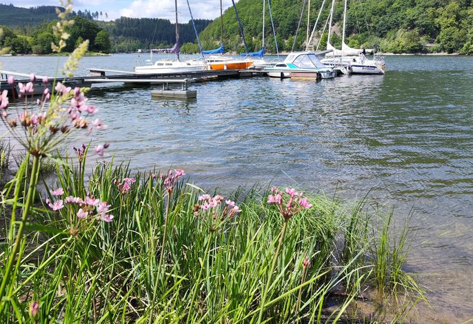 Bild 18