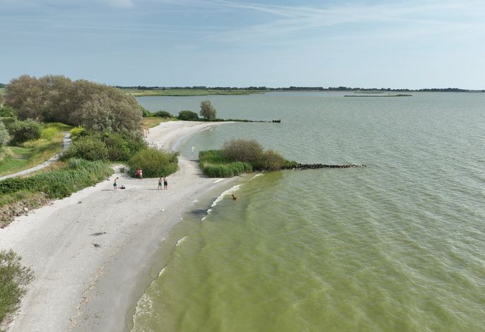 Bild 19