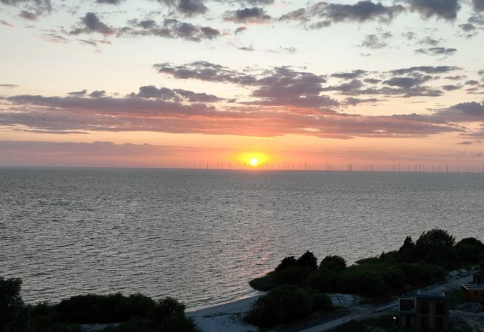 Bild 20