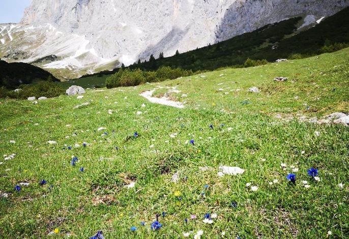 Bild 20