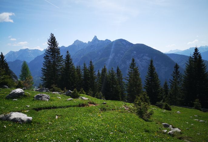 Bild 19