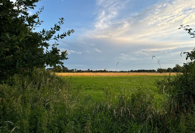 Bild 17