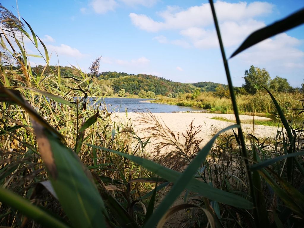 (403) Cozy Tiny House an der Elbe