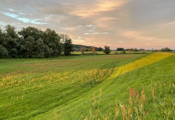 Bild 16