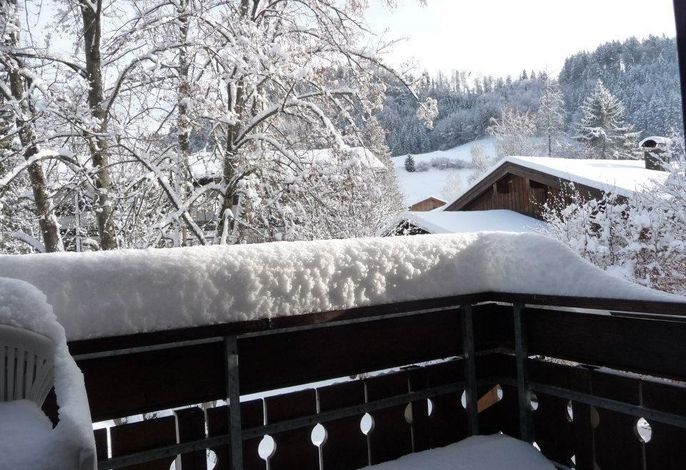 Bild 15