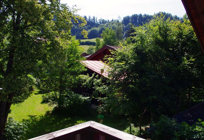 Bild 16