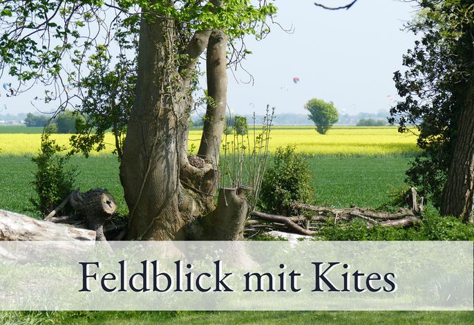 Bild 22