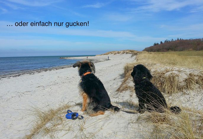 Bild 26