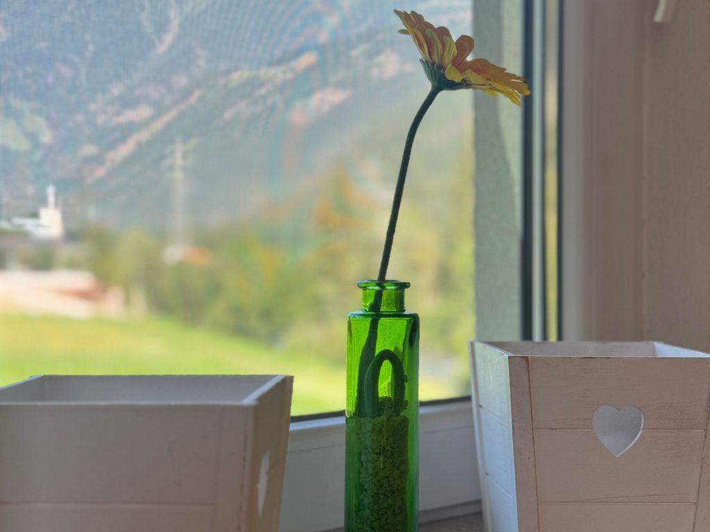 Direkt am Fluss und im Mölltal! Ferienwohnung - Die Möll