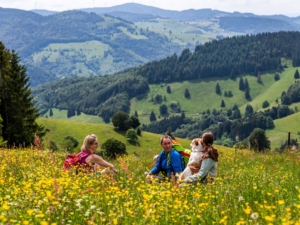 Ferienwohnung "zwischen drei Seen", Feldberg-Falkau