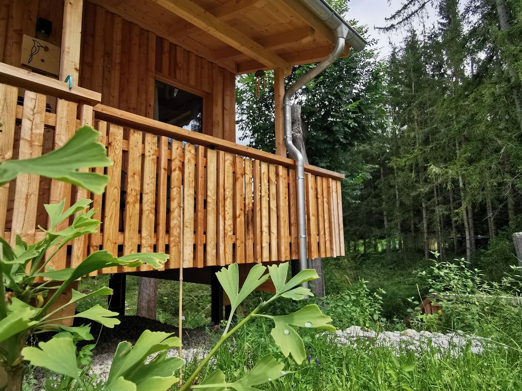 Wald ist Zukunft [Baumhaus Specht]