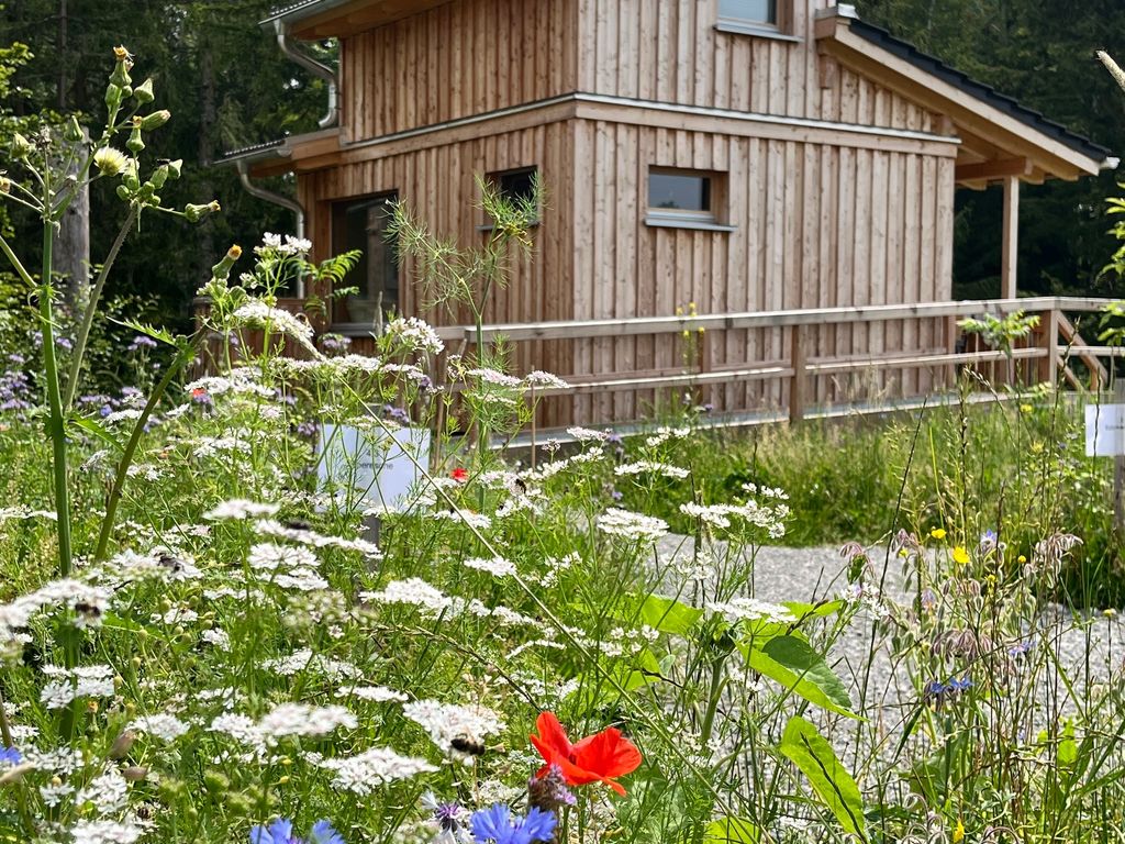 Wald ist Zukunft [Baumhaus Specht]