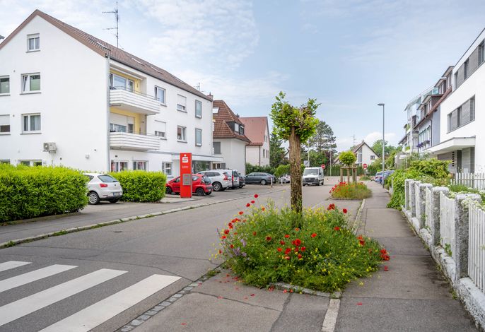 Bild 24