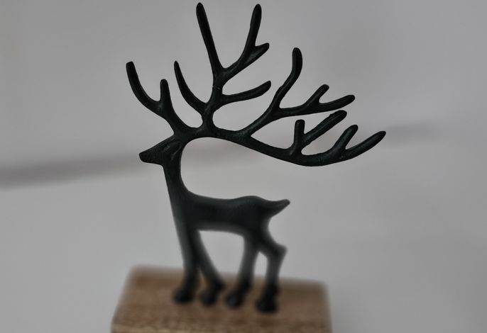 Bild 17