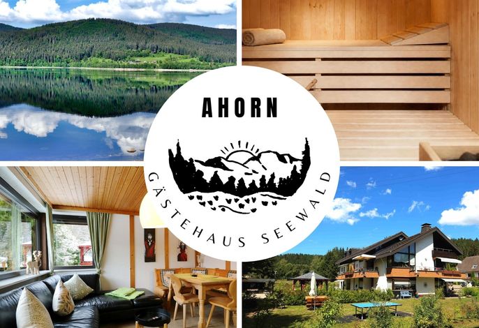 Gästehaus Seewald- Ferienwohnung 1 "Ahorn", Schluchsee, Blasiwald