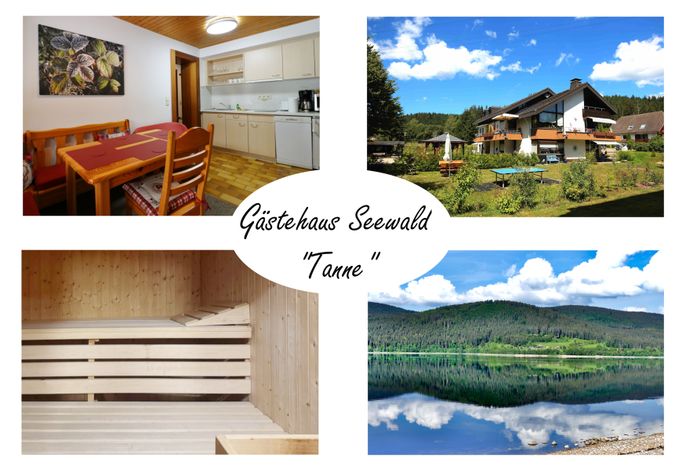 Gästehaus Seewald- Ferienwohnung 3 "Tanne", Schluchsee, Blasiwald