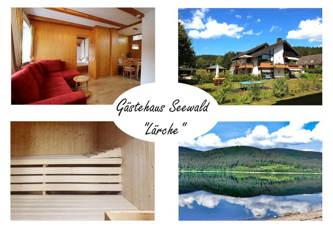 Gästehaus Seewald- Ferienwohnung 4 "Lärche", Schluchsee, Blasiwald