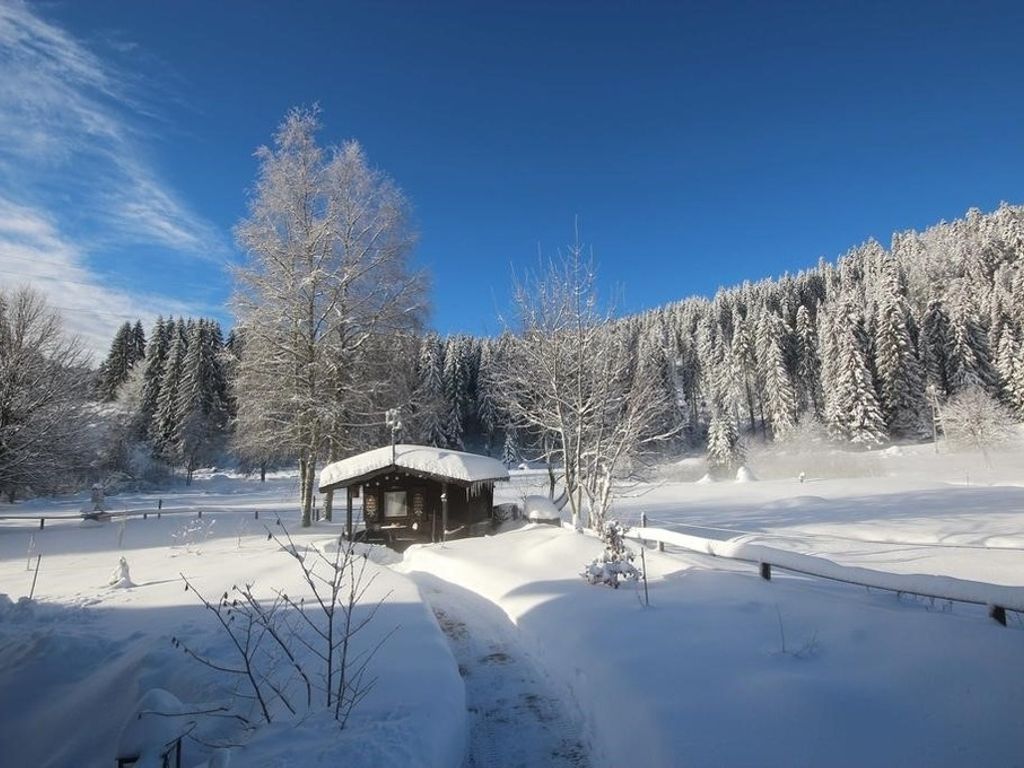 Gästehaus Seewald- Ferienwohnung 4 "Lärche", Schluchsee, Blasiwald