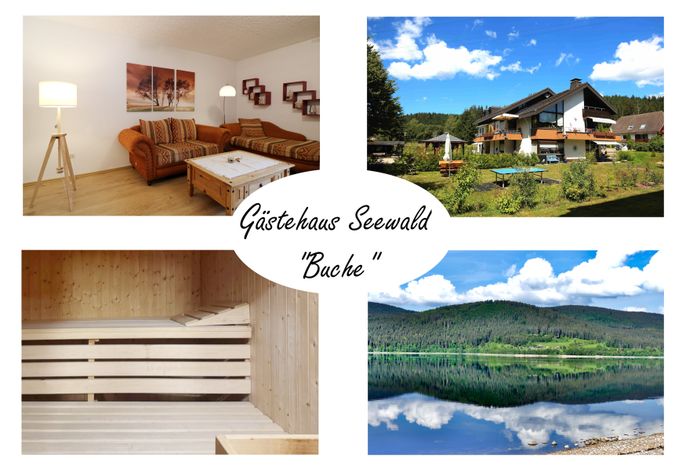 Gästehaus Seewald- Ferienwohnung 5 "Buche", Schluchsee, Blasiwald