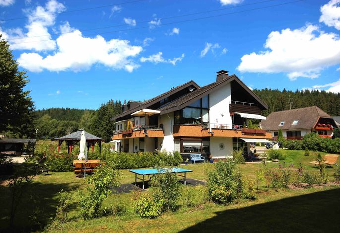 Bild 12