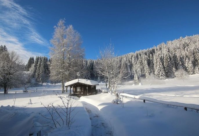 Bild 16