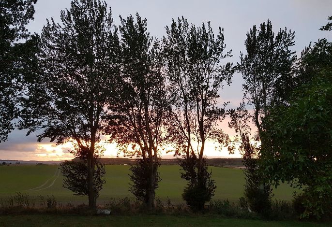 Bild 10