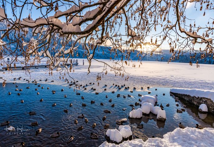 Bild 31