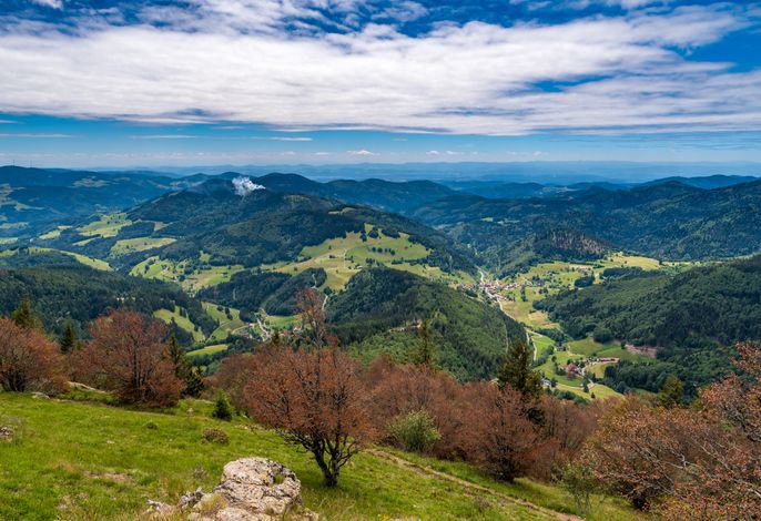 Bild 19