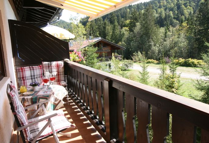Alpendohle