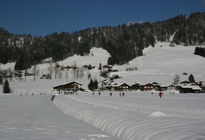 Bild 15