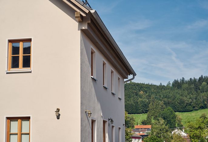 Bild 42