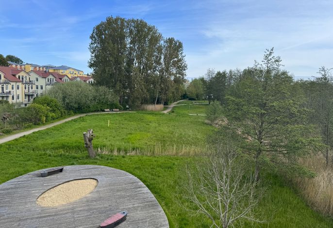 Photo (Brise) Seepark Bansin App. 25-18 7