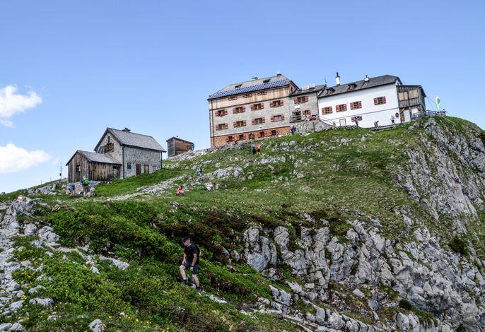 Bild 36