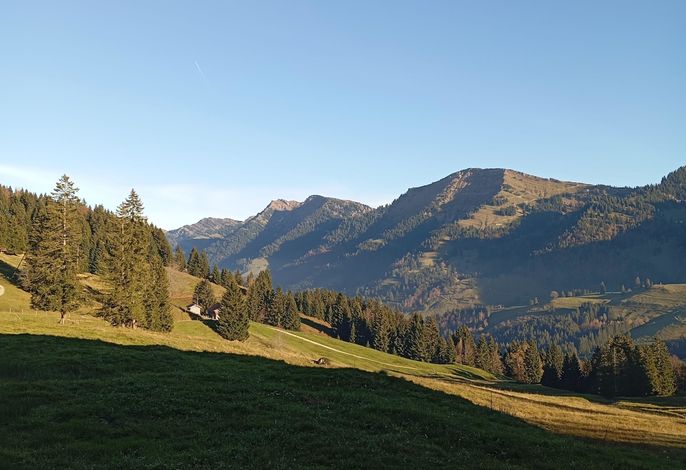 Bild 18