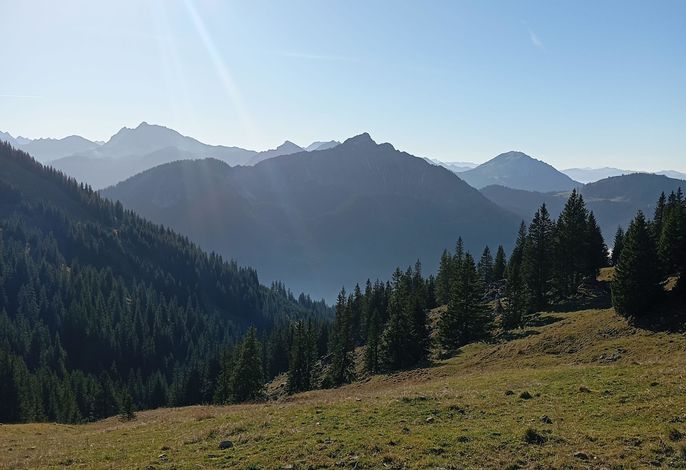 Bild 19