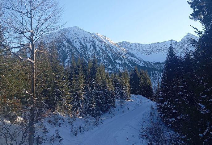 Bild 17