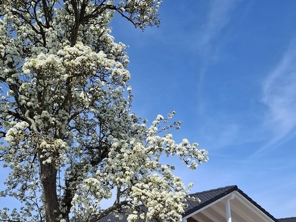 Hof Hagen - "Am Birnenbaum" (Neubau 2025)
